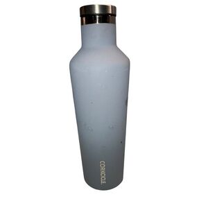 Corkcicle Matte Gray Water Bottle